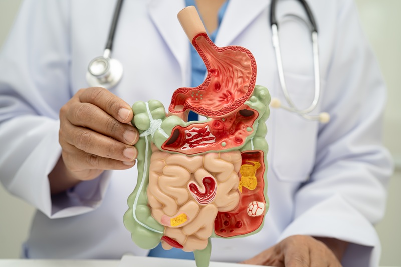 Enfermedad y patología gastrointestinal